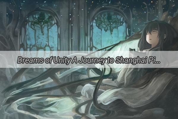 Dreams of Unity A Journey to Shanghai Pieced Together with Dreams and Dimes